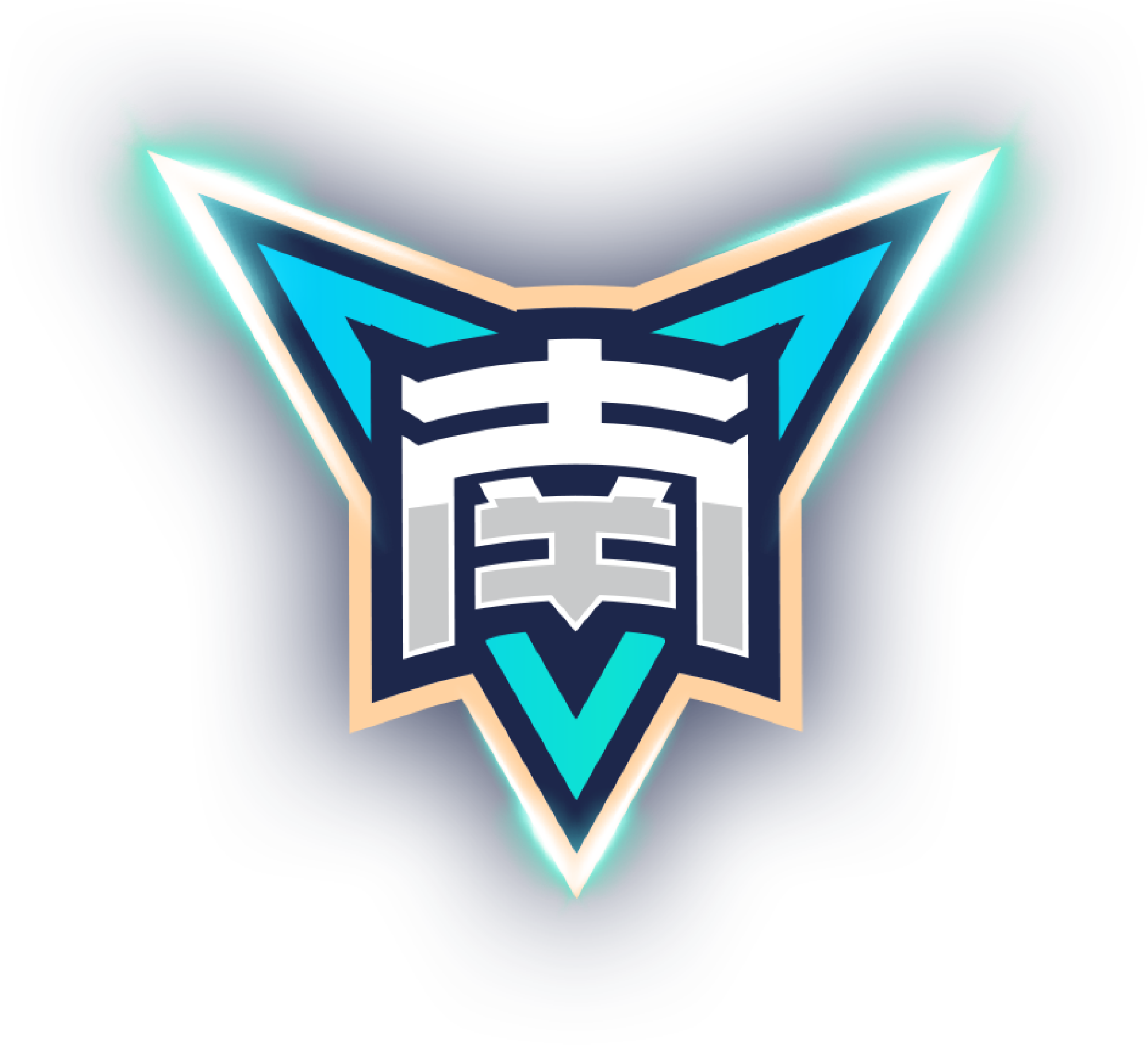 深圳新鹏城